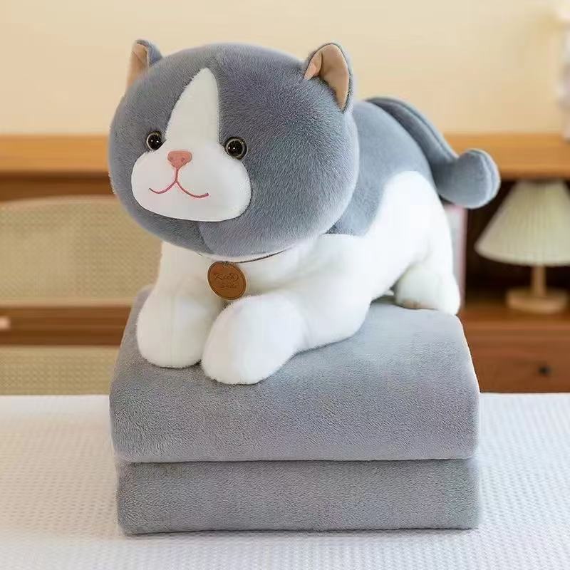 Gifting Special Toy Cum Blanket