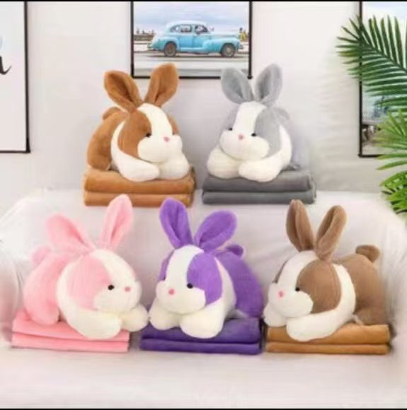 Gifting Special Toy Cum Blanket